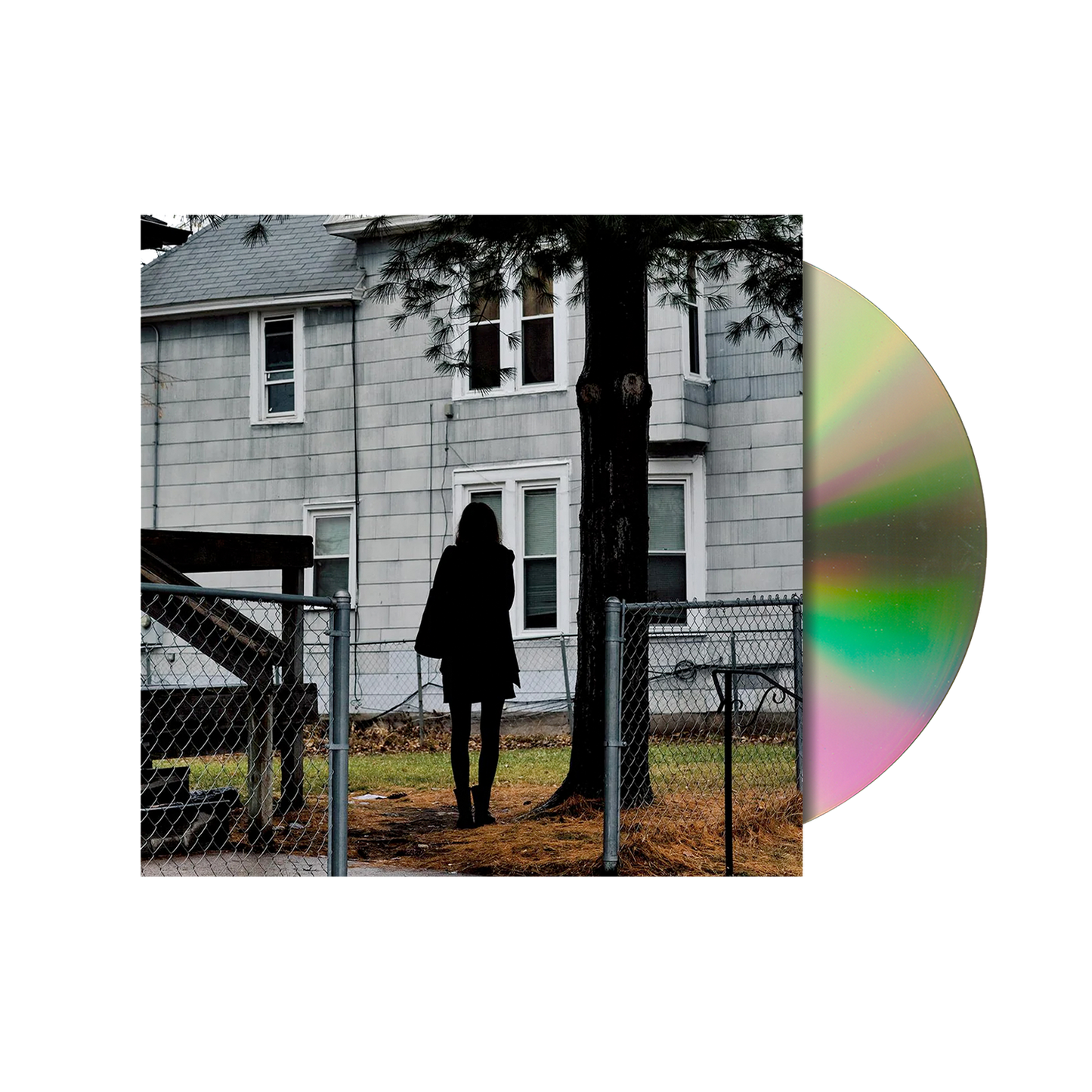 Dark Bird Is Home CD